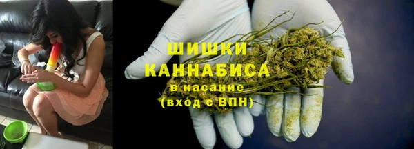 mix Гусиноозёрск