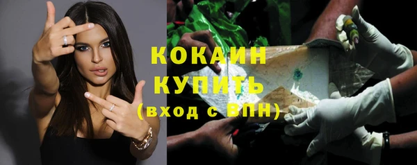 дживик Гусев