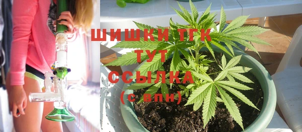 дживик Гусев