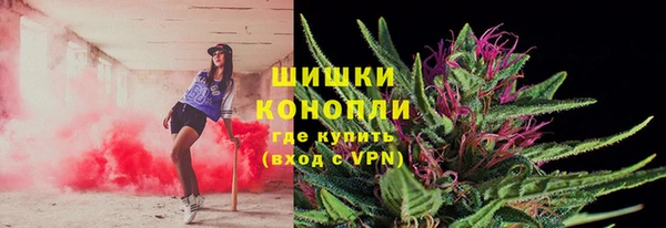 mix Гусиноозёрск