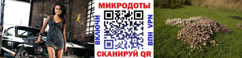 Купить где Полевской Галлюциногенные грибы GOLDEN TEACHER